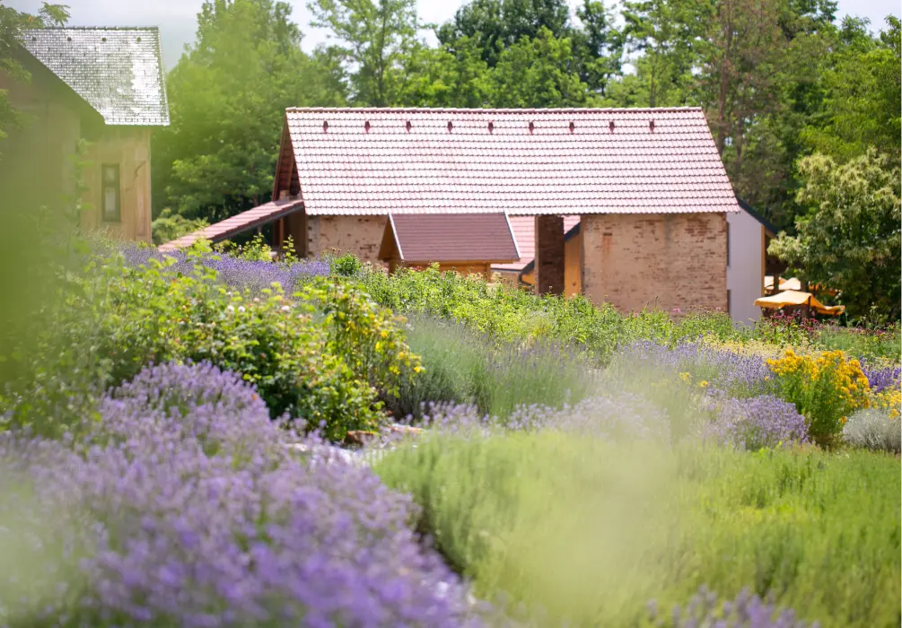 vidov brejg and garden